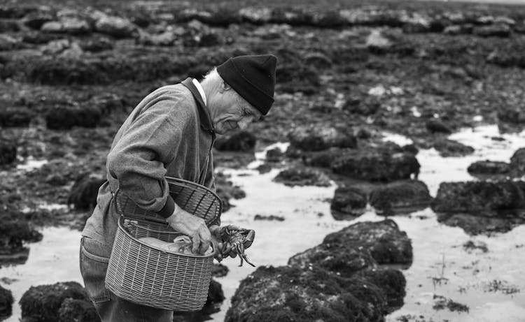 Eldery Man Collecting Crabs No The Beach 