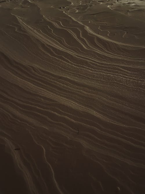 Texture of Desert