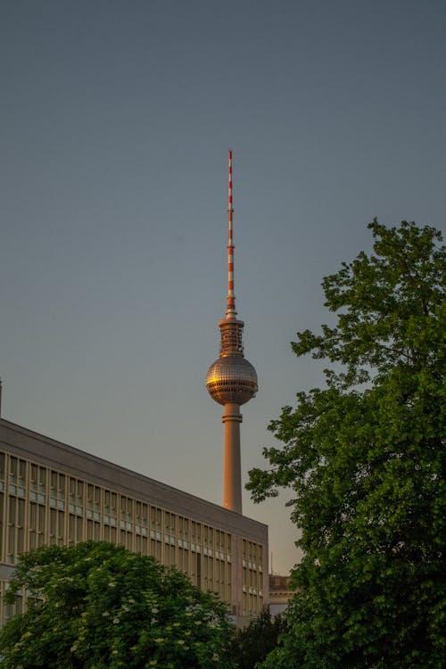 Green Trees Near the Building