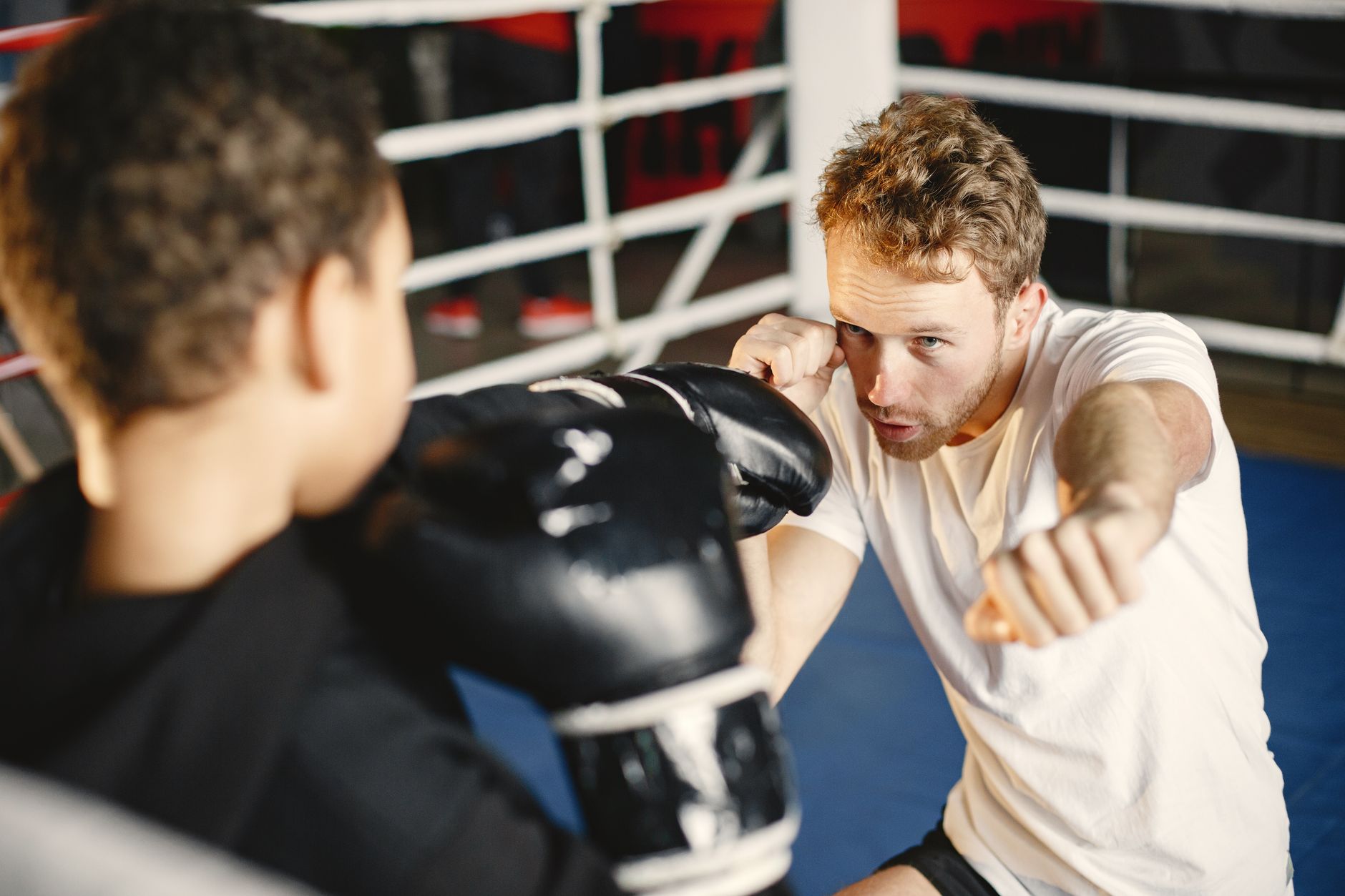 Elite Coaching: What Separates Good Trainers from Great Ones