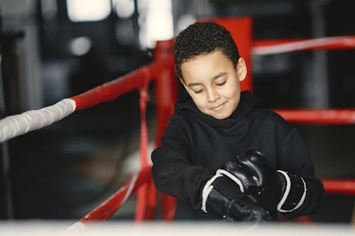 Fotobanka s bezplatnými fotkami na tému bojový šport, box krúžok, boxerské rukavice