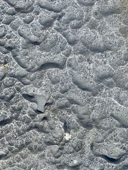 Close-up of textured rock surface displaying unique natural patterns and forms.