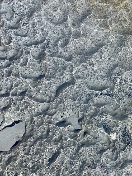 Free Close-up of ocean foam creating a unique abstract texture pattern in natural light. Stock Photo