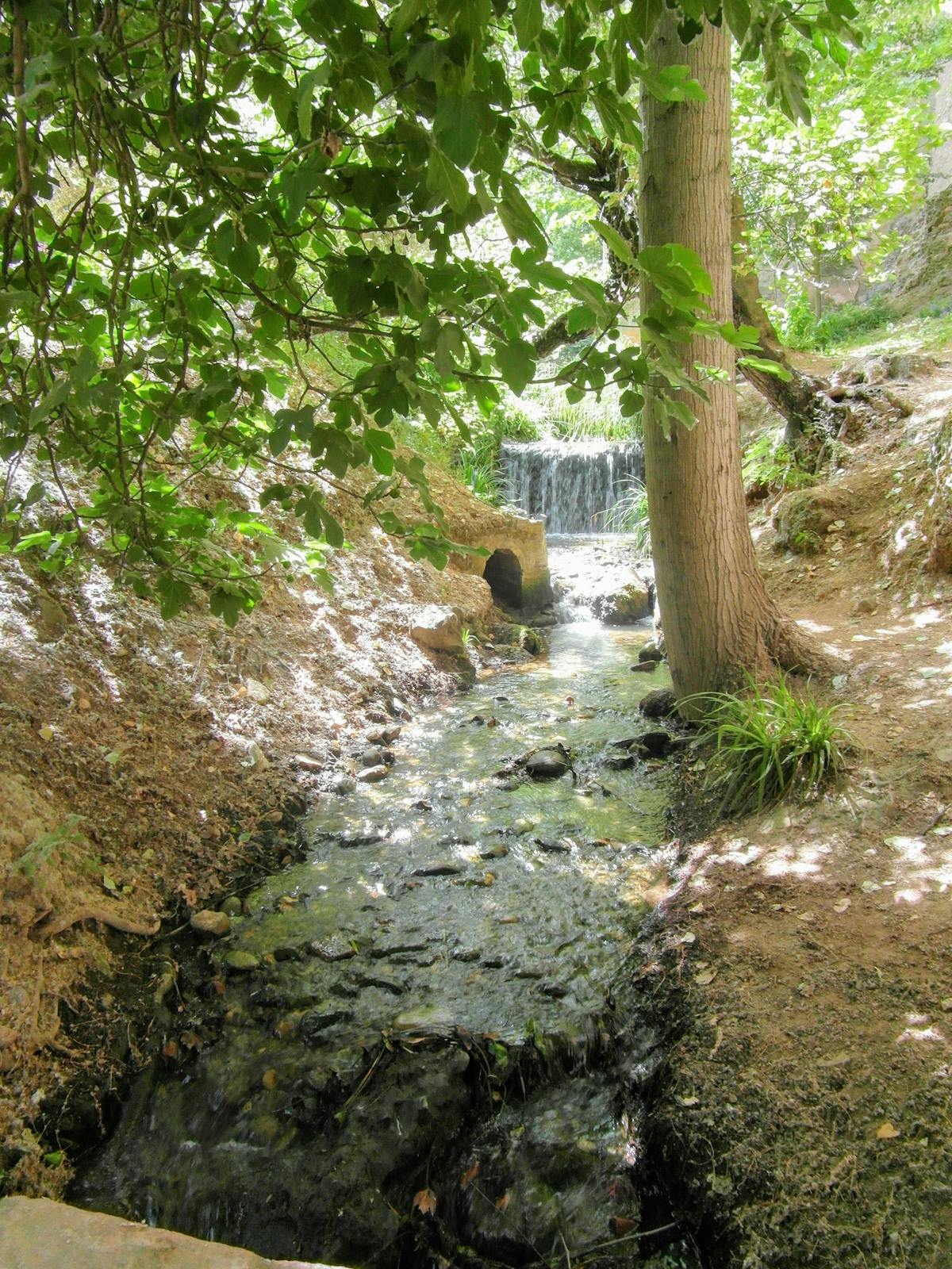 Equipo analizando datos financieros