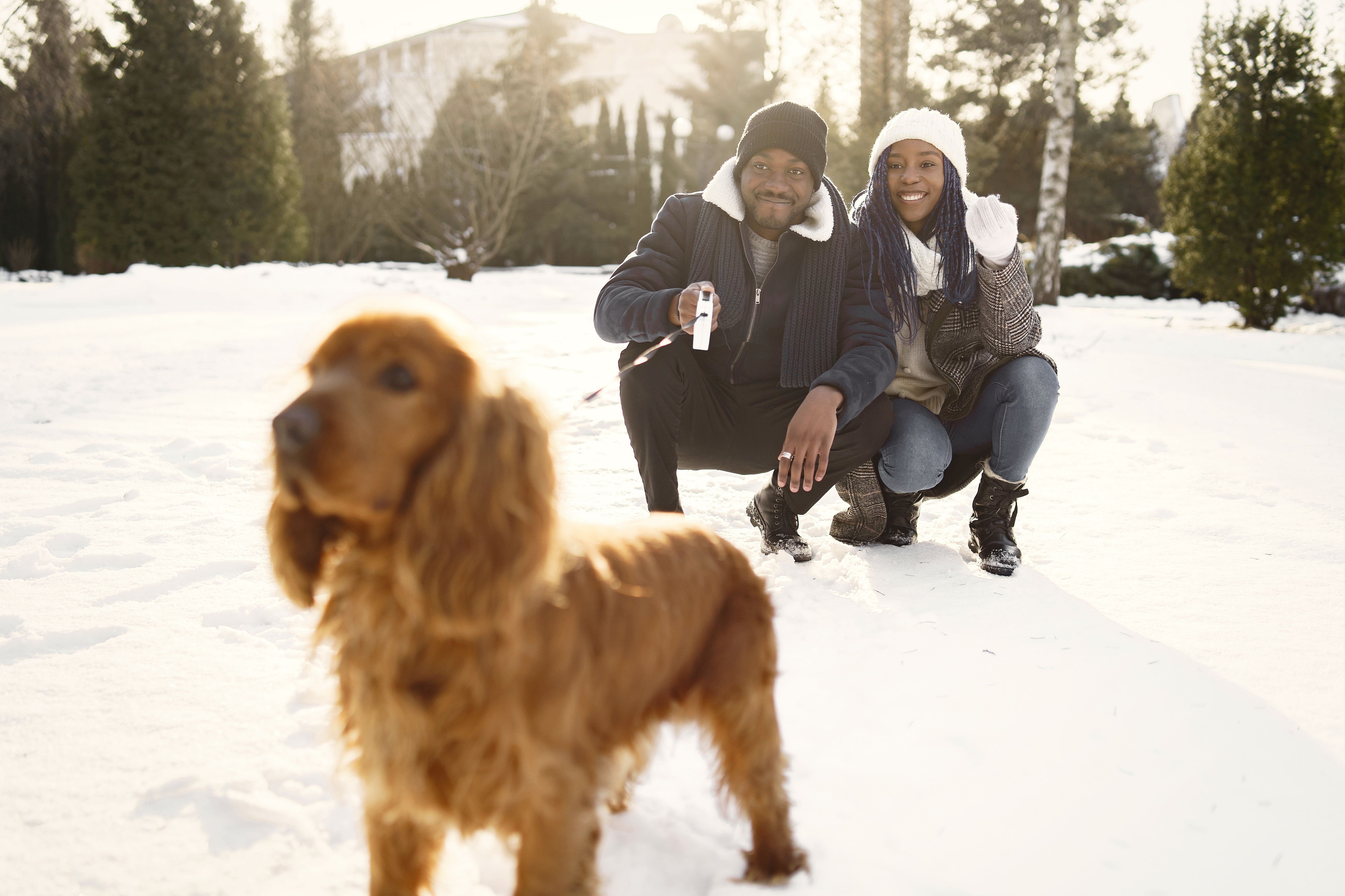 pet lifestyle pets lifestyle — Photo by Gustavo Fring on Pexels