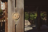 Rustic wooden post with an emblem in a sunny outdoor setting in Mississauga, Canada.