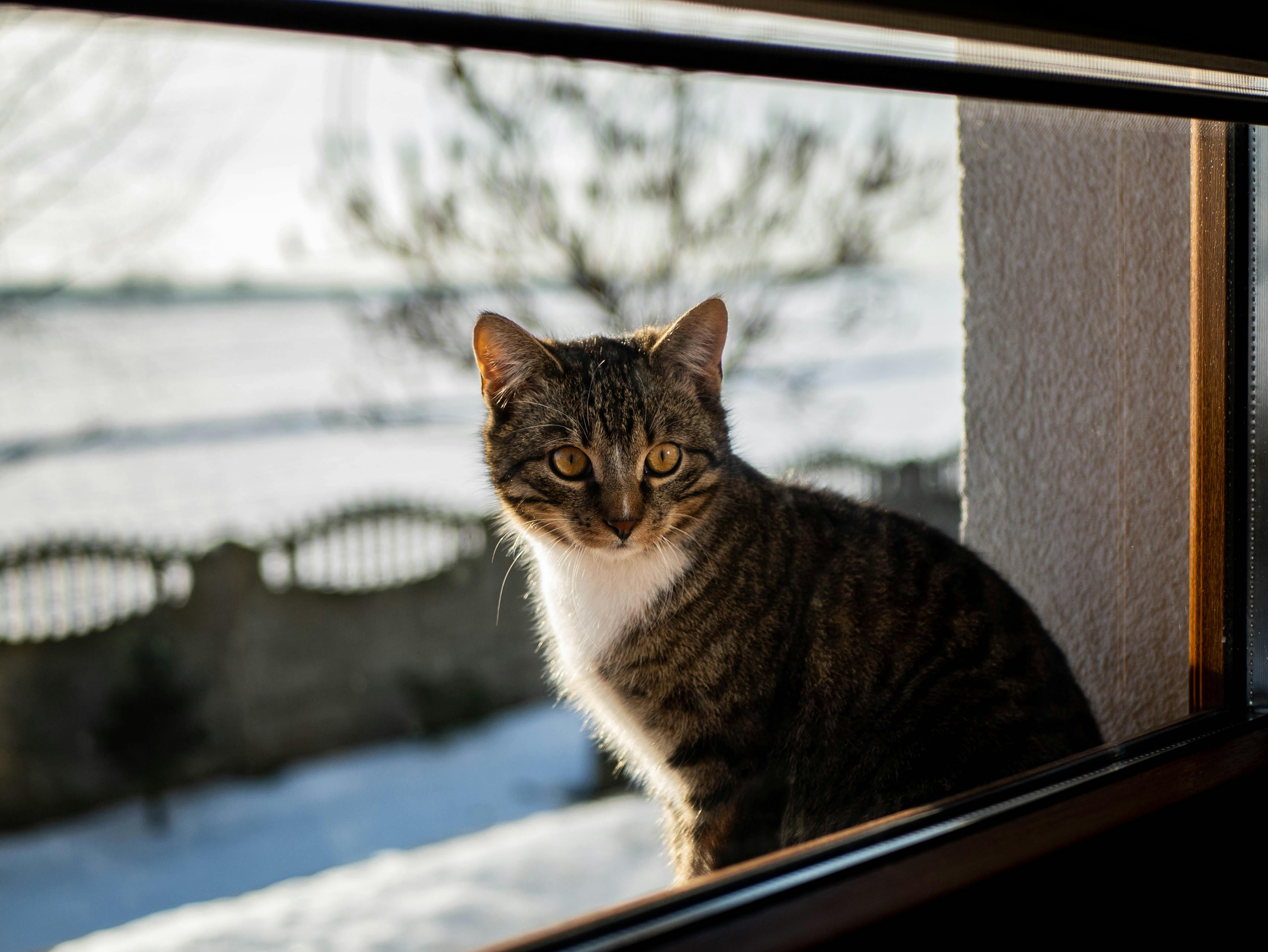 Evolución Sonora de Gilberto Gil: Fusión Cultural y Síntesis Tecnológica en Producción Musical