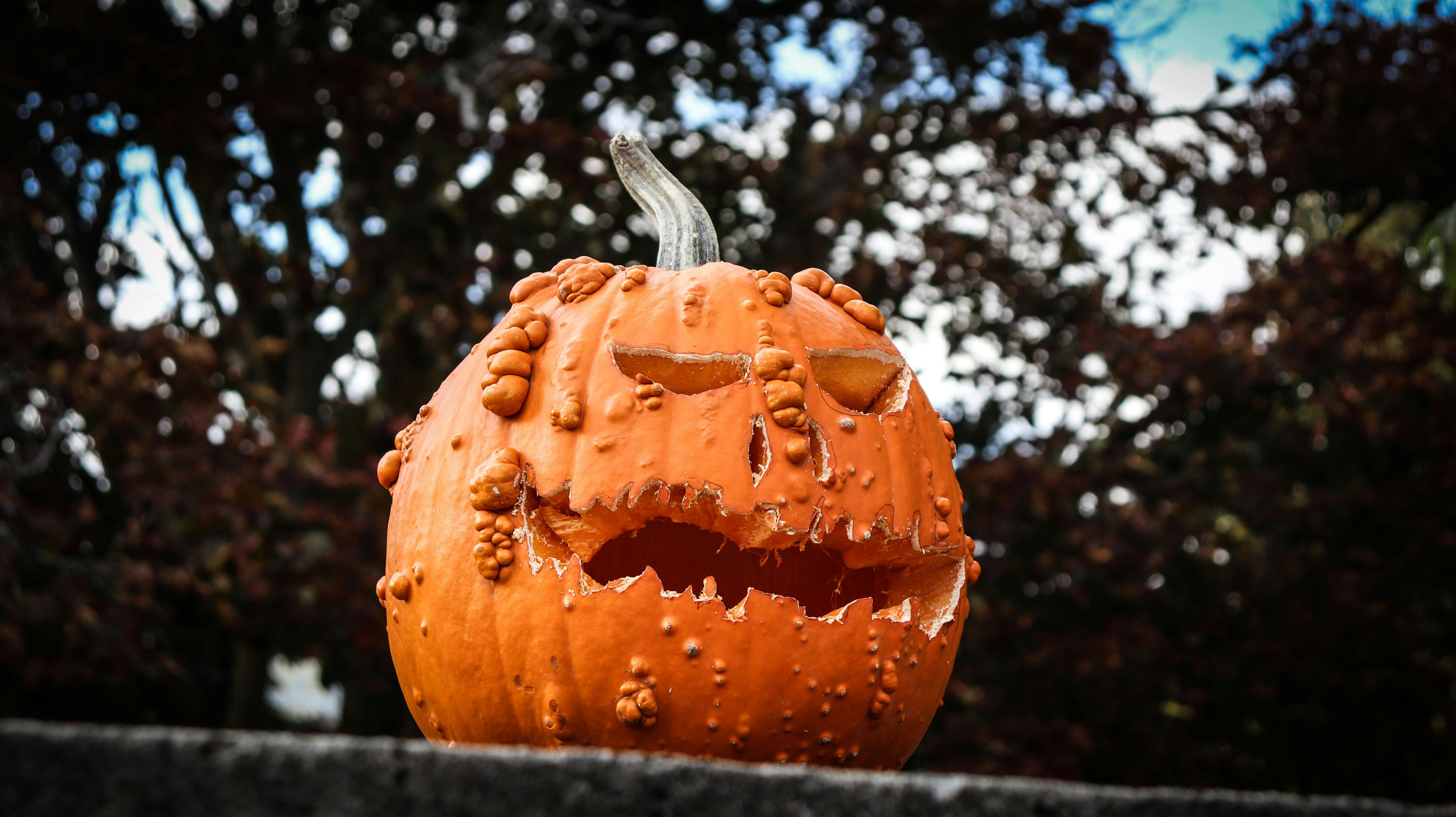 A carved warty pumpkin sits outdoors, embodying a spooky Halloween vibe.
