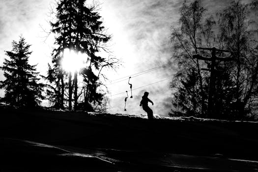 A dramatic black and white silhouette of a snowboarder on a snowy slope surrounded by trees.