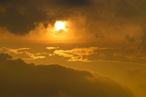 Základová fotografie zdarma na téma atmosféra, čerstvý, chmýří