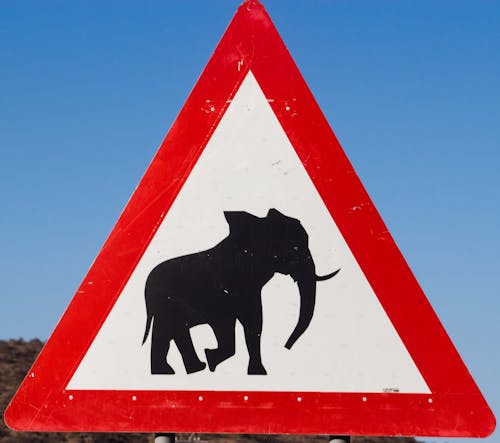 Gratuit Imagine de stoc gratuită din elefant, fereste-te de elefanti, indicator rutier Fotografie de stoc