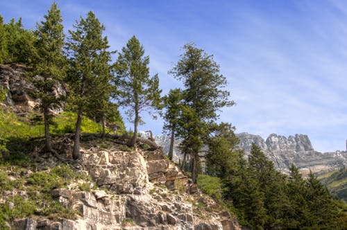 Gratuit Imagine de stoc gratuită din alpin, arbori, cer albastru Fotografie de stoc