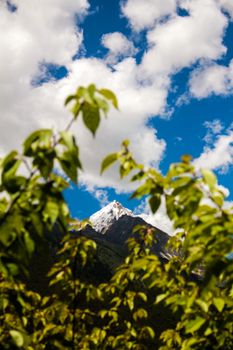A stunning view of a snow-capped mountain with vivid green leaves and blue sky.