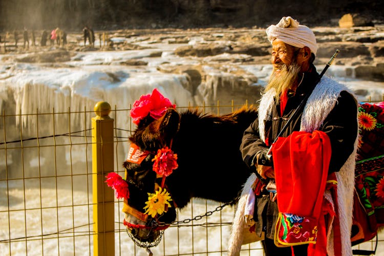 Old Bearded Asian Man In Traditional Clothes Standing Near Tibetan Donkey