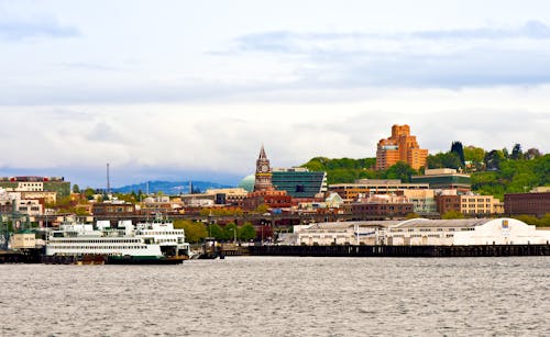 Cruise Ships on the Sea and City in the Distance 