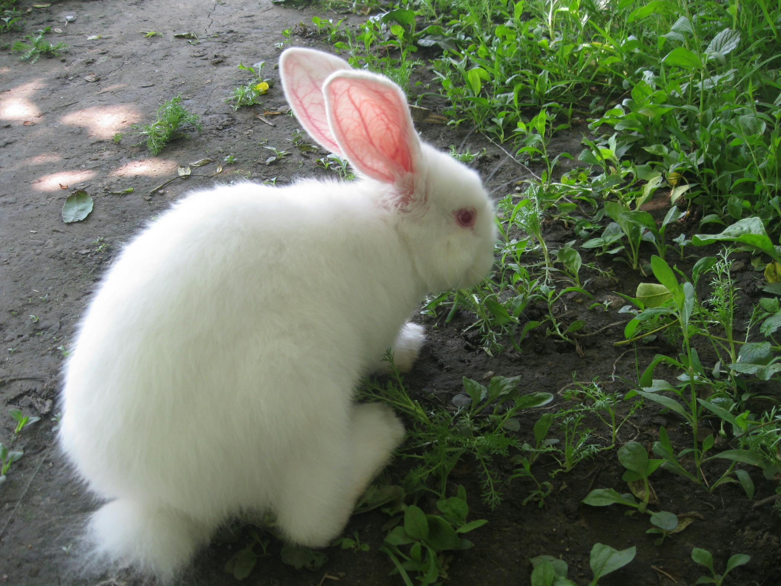 Person behind prison bars with light coming through