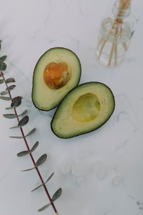 Free Close-up of a sliced avocado and eucalyptus leaves on a white surface. Stock Photo
