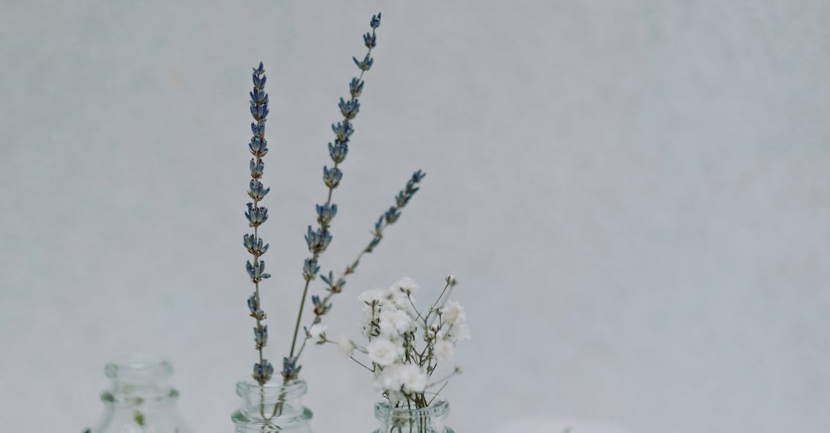 A person receiving a relaxing back massage in a tranquil spa setting.