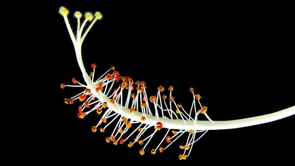 the parts of the flower