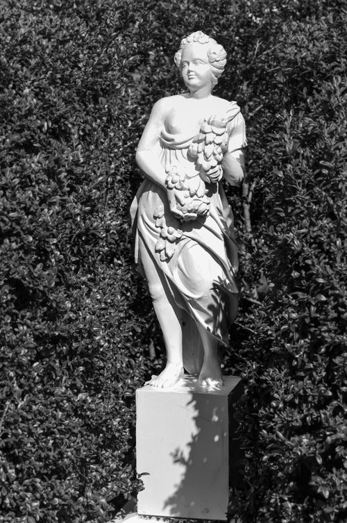 Free A classic white marble statue stands elegantly against a lush garden backdrop. Stock Photo