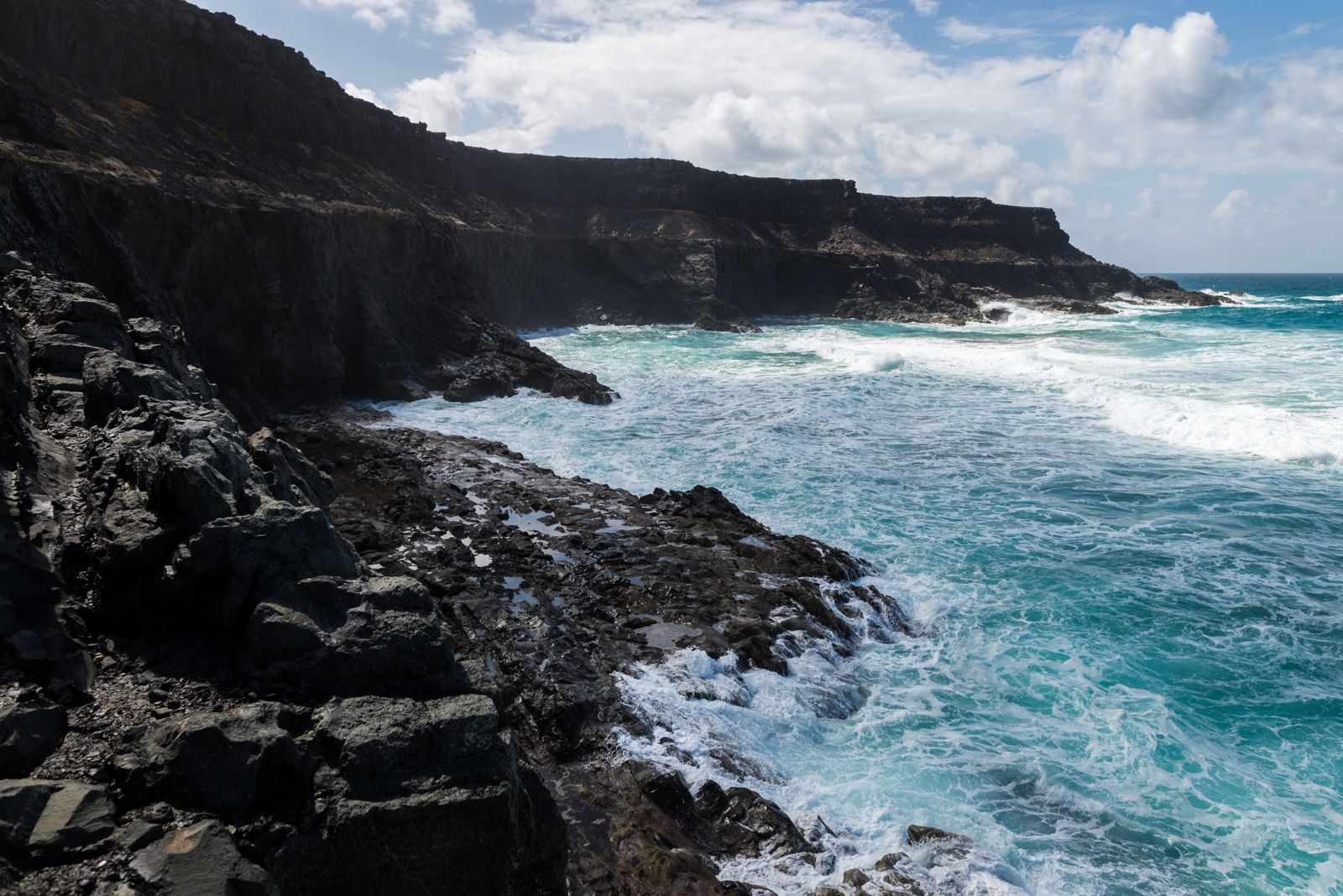 Illustrative coastal field-journal scene — Magic K on Pexels