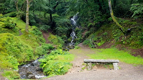 瀑布, 石凳, 達特穆爾 的 免費圖庫相片