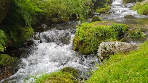 水, 河, 石 的 免費圖庫相片