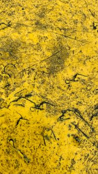 Vibrant abstract texture featuring intricate yellow patterns with organic lines.