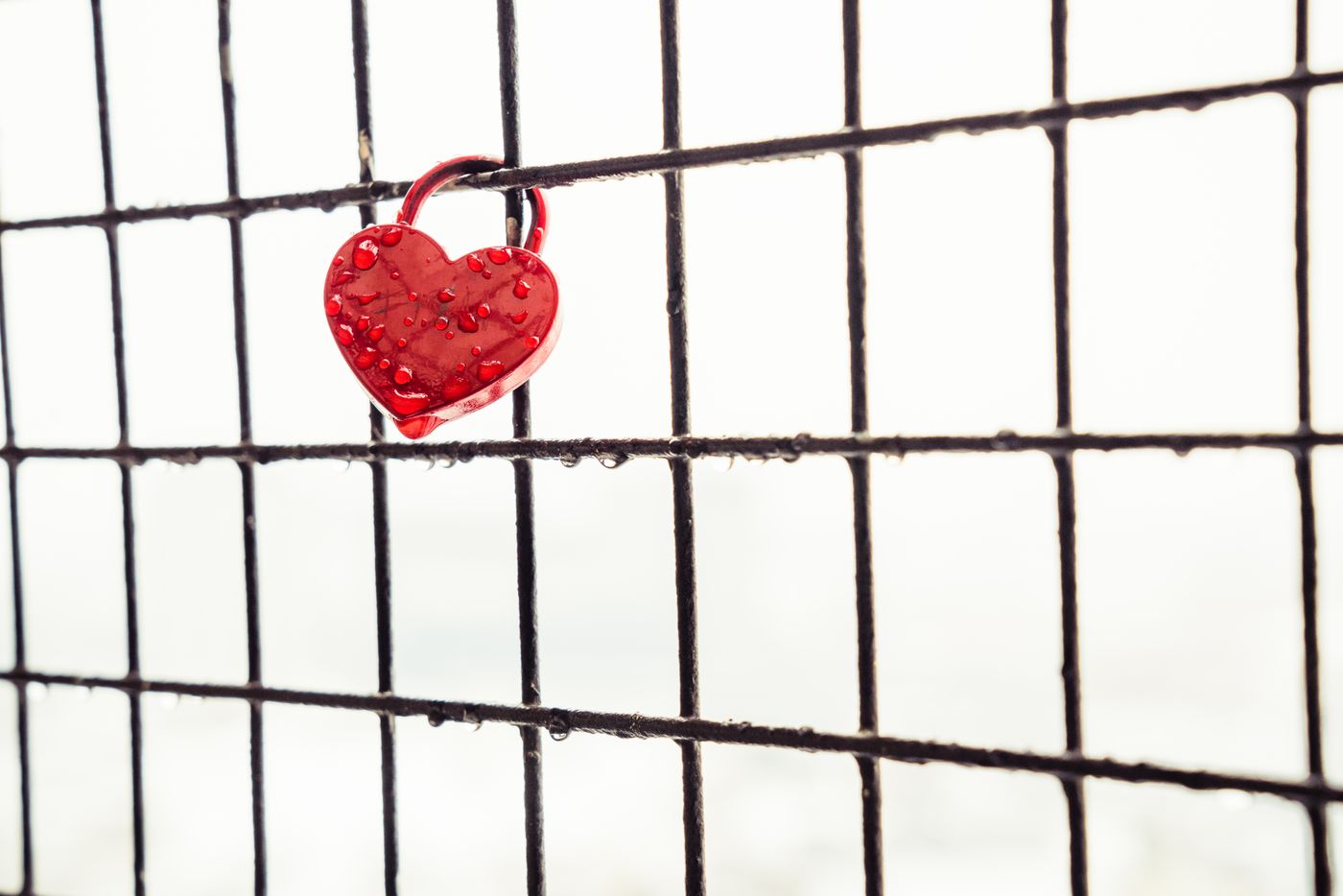 A heart-shaped padlock hangs on a metal grid fence, symbolizing love and commitment.