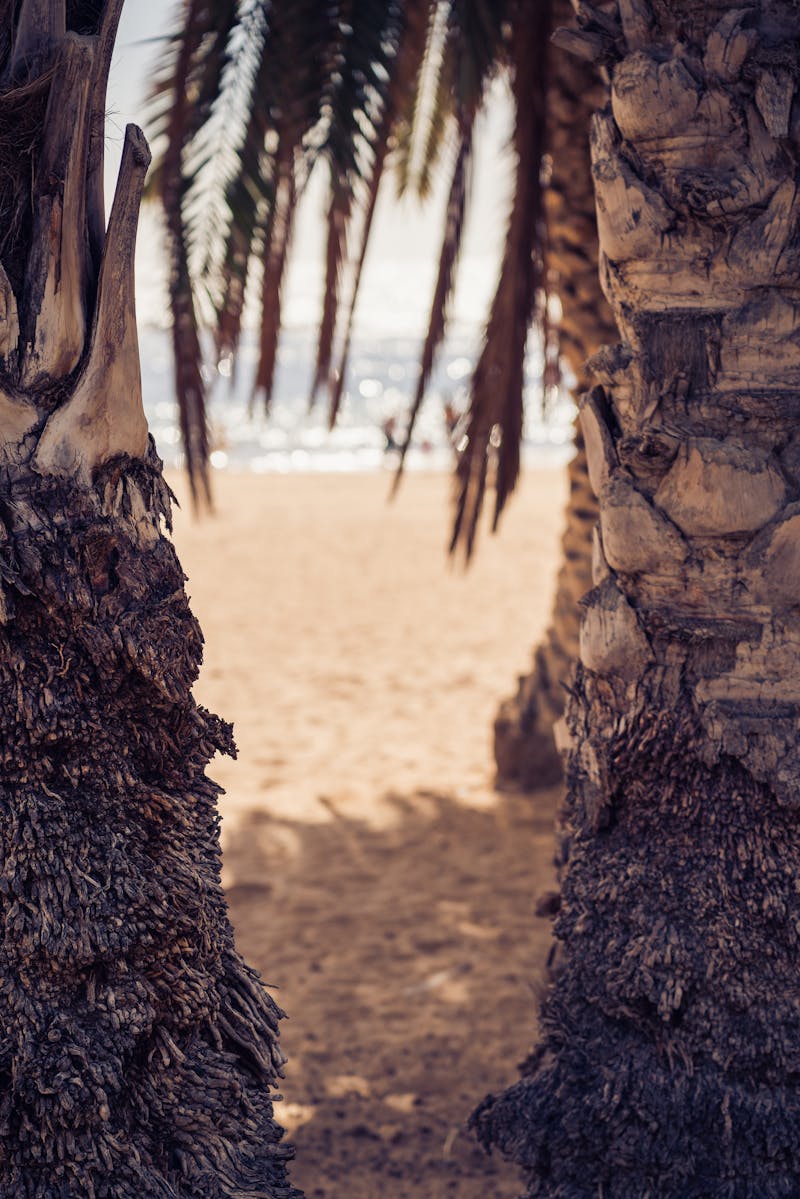 Ruta culturală peisaj rural