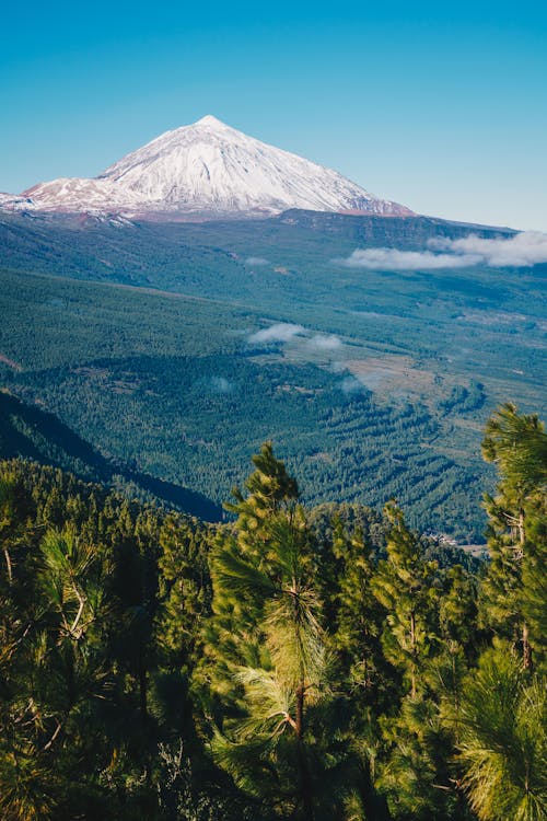 Scenery with a Snowcapped Mountain