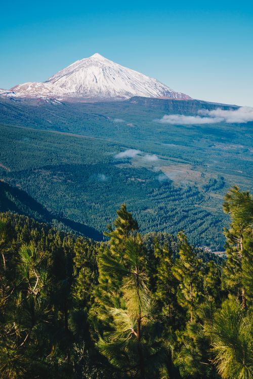 Free Majestic snowcapped mountain above a dense green forest in stunning landscape. Stock Photo