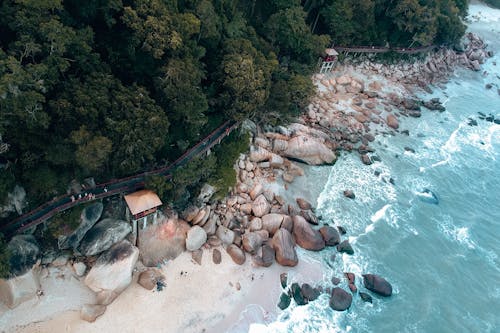 Základová fotografie zdarma na téma bujný, dálkový, destinace