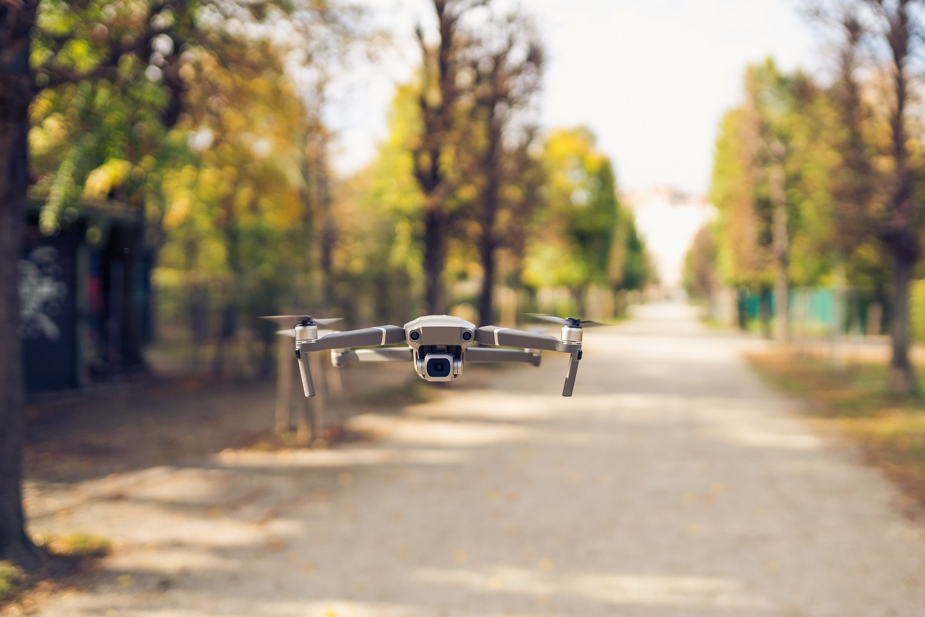 A drone flies midair along a tree-lined path in a park, capturing serene nature views.