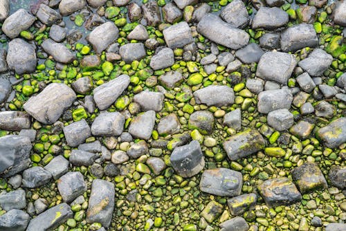 Imagine de stoc gratuită din frumusețe în natură, măcinare, minte