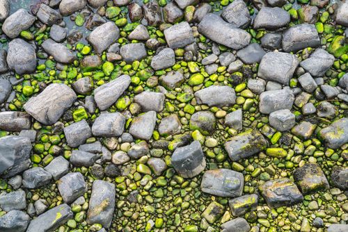 Free Aerial view of green mossy rocks and pebbles on a coastal shoreline. Stock Photo