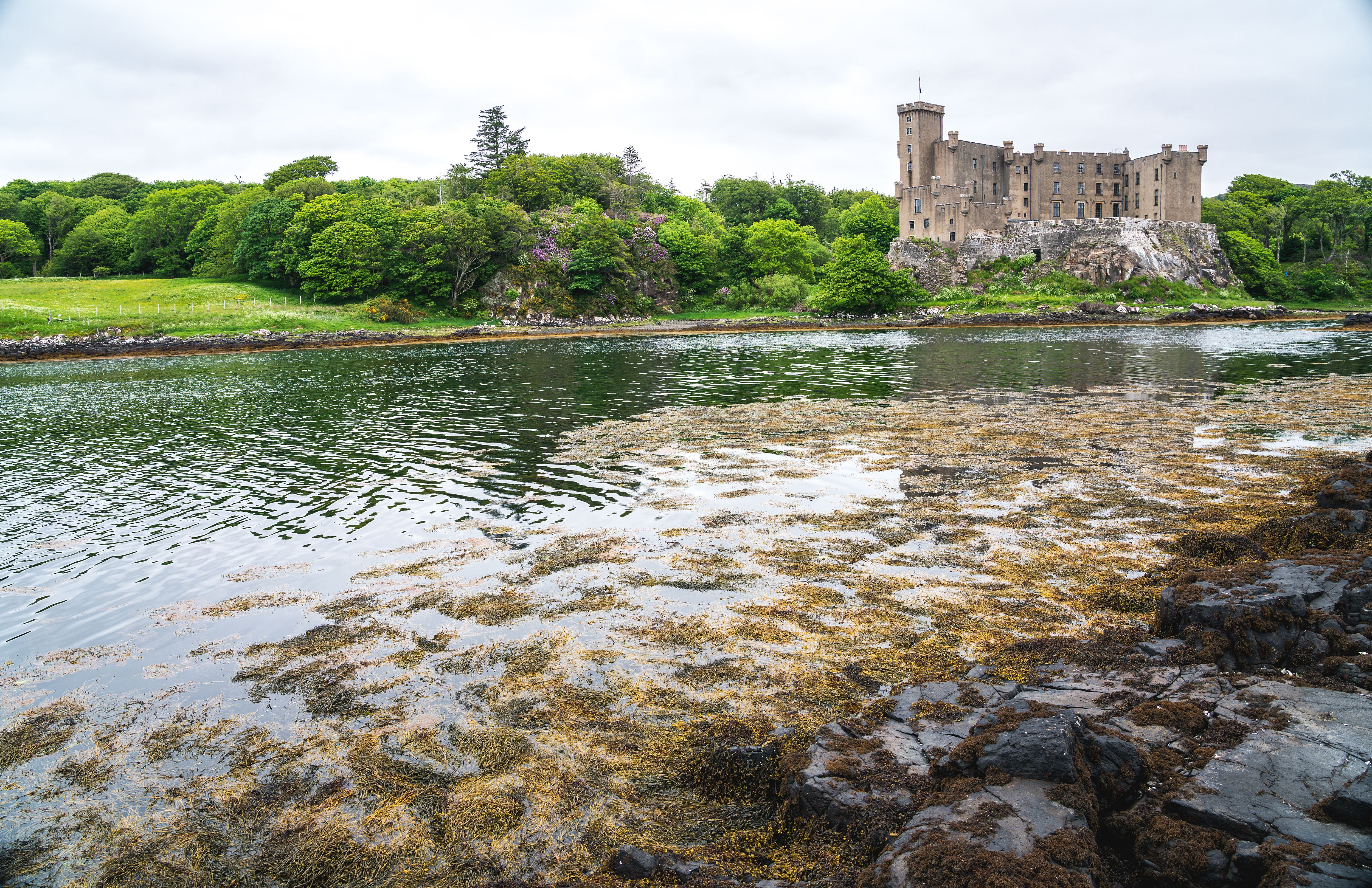 A majestic castle surrounded by nature, reflected in a tranquil lakeshore setting. A majestic castle surrounded by nature, reflected in a tranquil lakeshore setting.