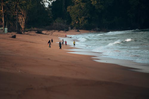 Бесплатное стоковое фото с активный отдых, Анонимный, берег
