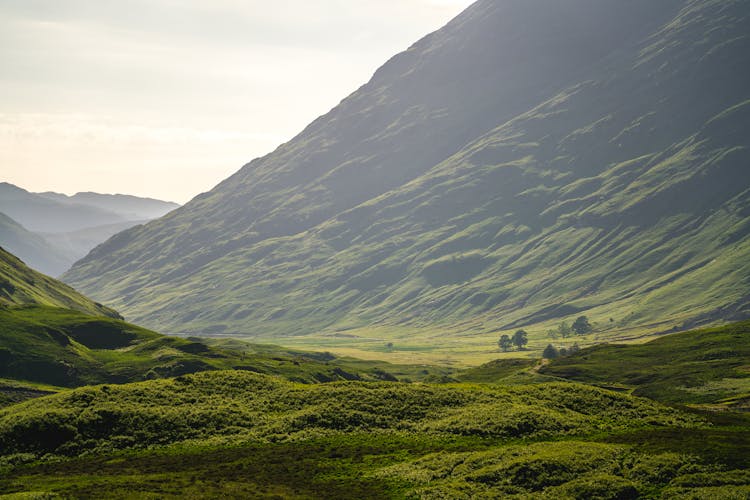 Green Pasture At The Base Of A Mountain