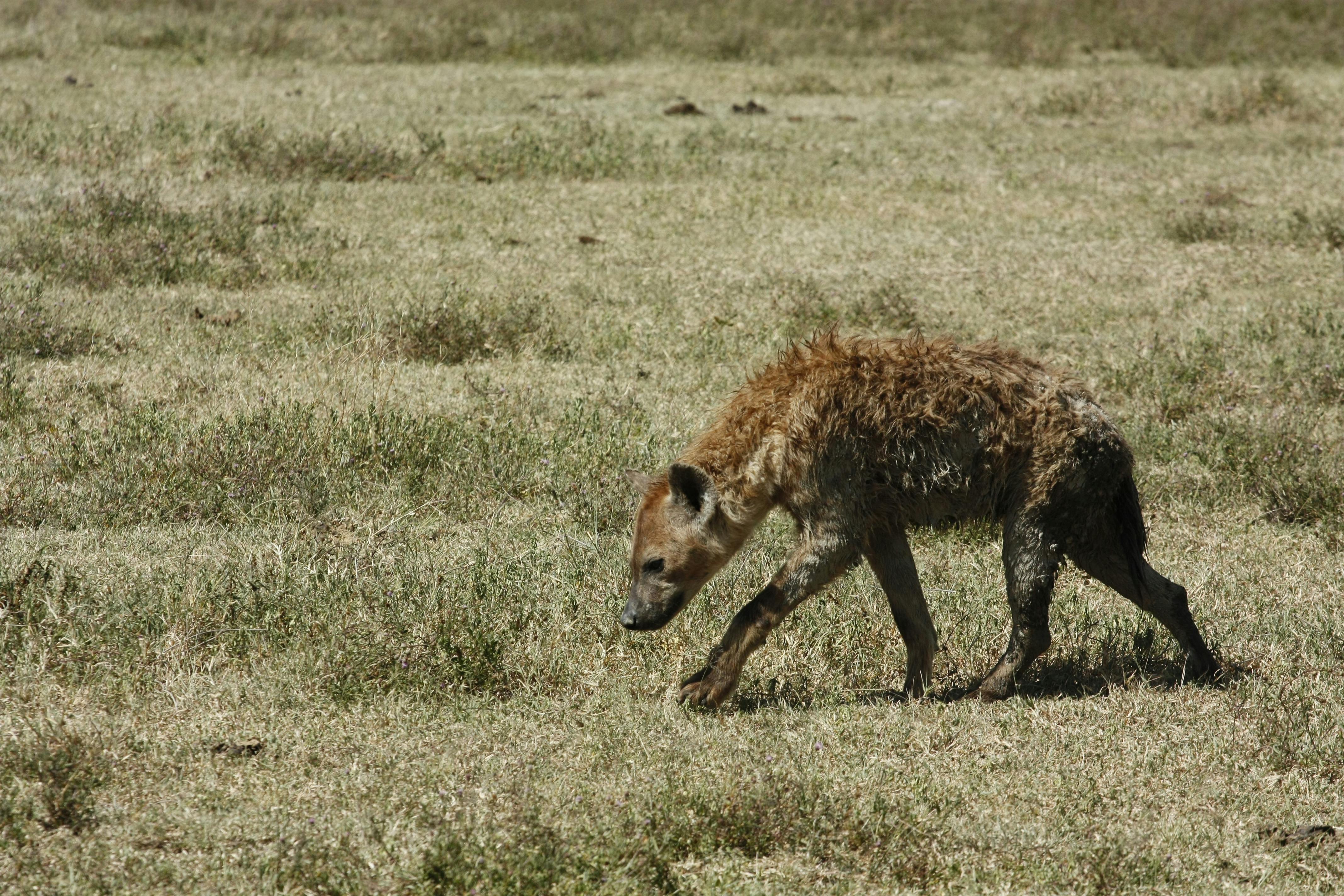 Couple enjoying a traditional Turkish breakfast overlooking the Bosphorus