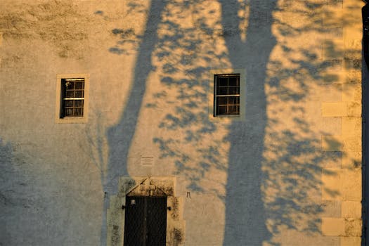 Dappled tree shadows on a sunlit church wall in Meissen, Germany, capturing light and texture.