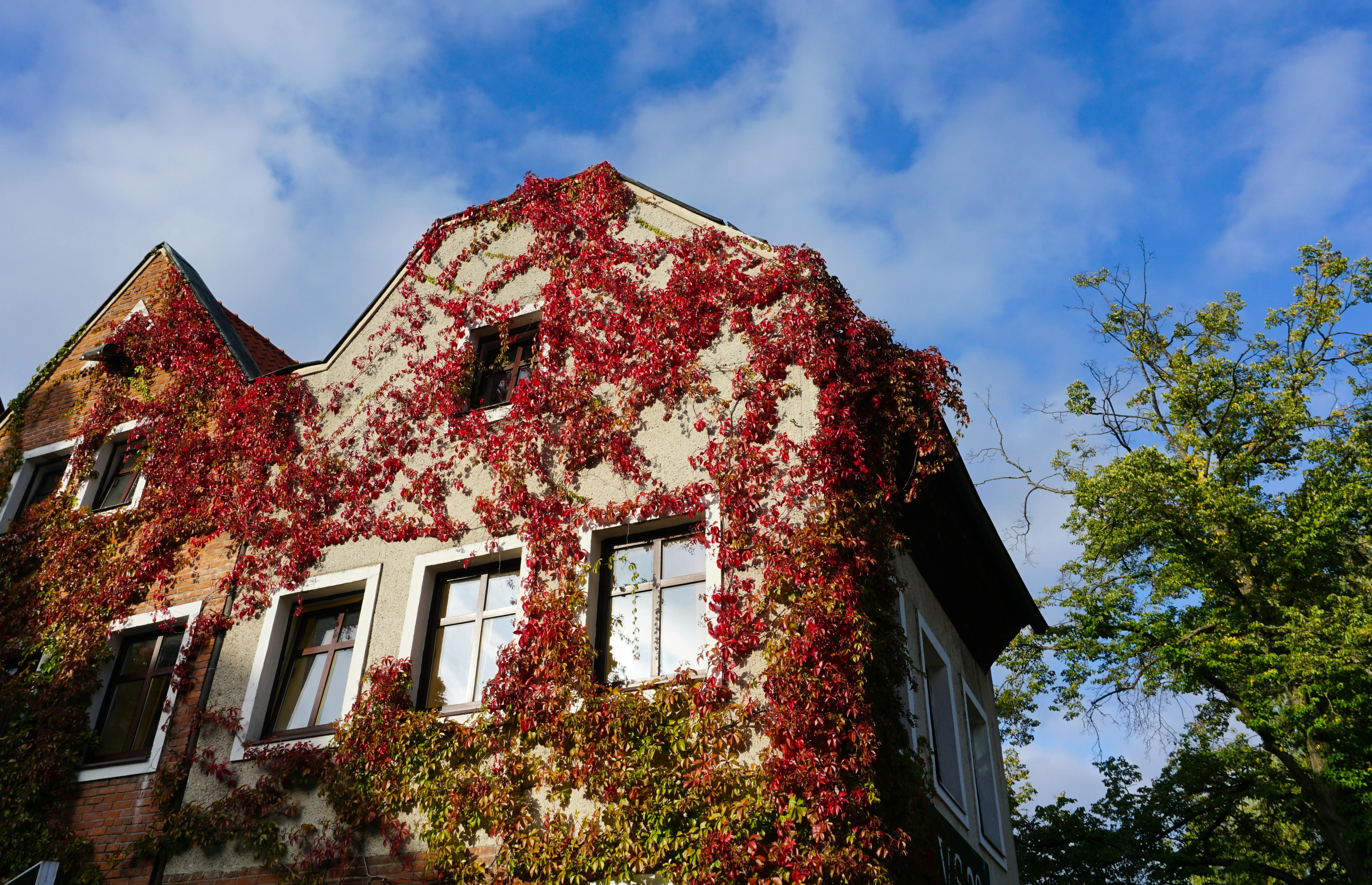 Mortgage rates rise again on Iran uncertainty: Mortgage and refinance interest rates today, May 7, 2026 — Photo by Ala J Grac