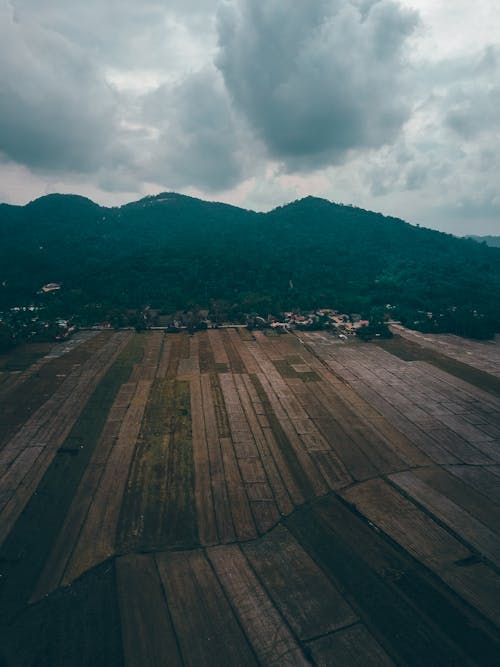 Agricultural plantations in mountainous countryside under overcast sky