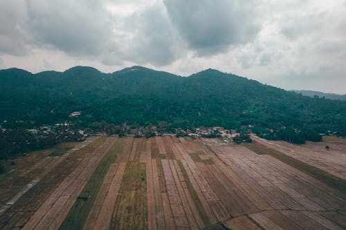 Free Aerial view of well groomed plantations surrounded by lush green mountains against overcast sky in tropical countryside Stock Photo