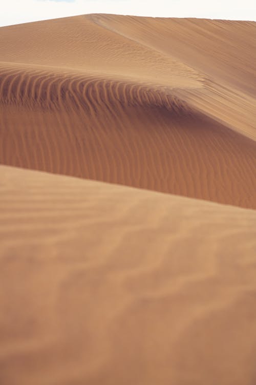 Close-Up Photography of Sand Dunes