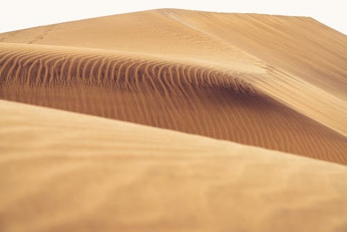 Selective Focus Photo of Sand Dunes