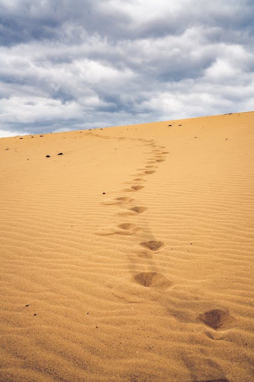 Photo of Footprints on Sand Under Cloudy Sky