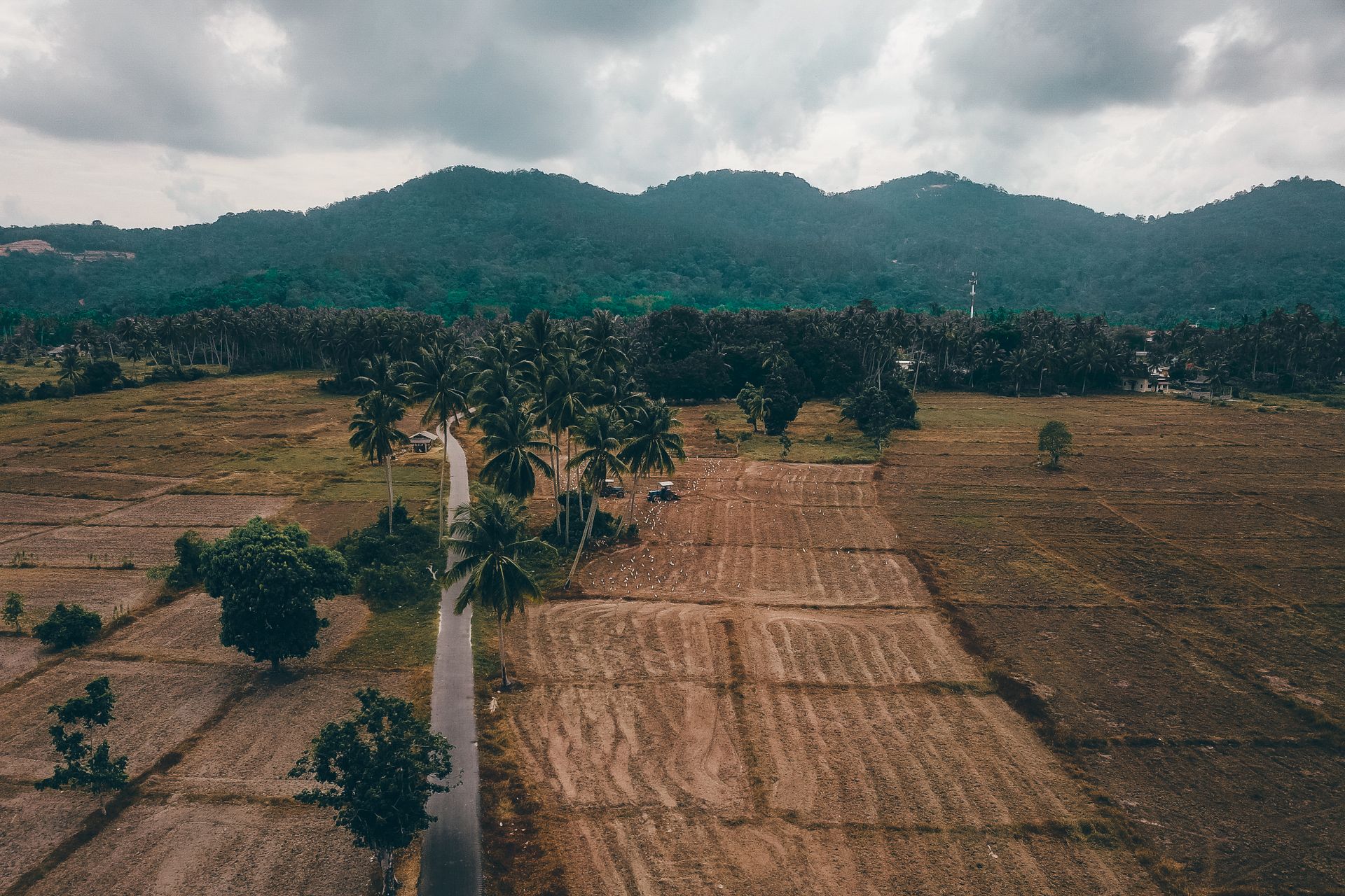 Drone view of lush tropical trees growing near agricultural fields in surrounded by green mountains under overcast sky