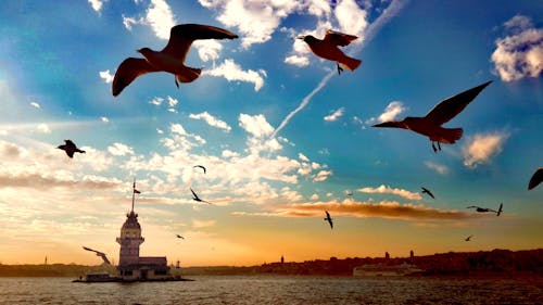 travelmaidenstower, イスタンブ, キズクレシの無料の写真素材