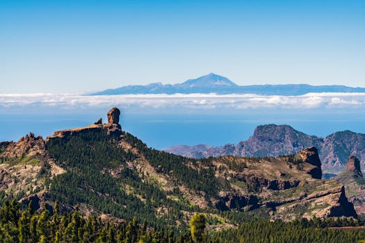 Los Roques, Venezuela photo 19